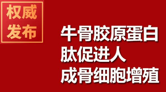 牛骨膠原蛋白肽促進(jìn)人成骨細(xì)胞增殖